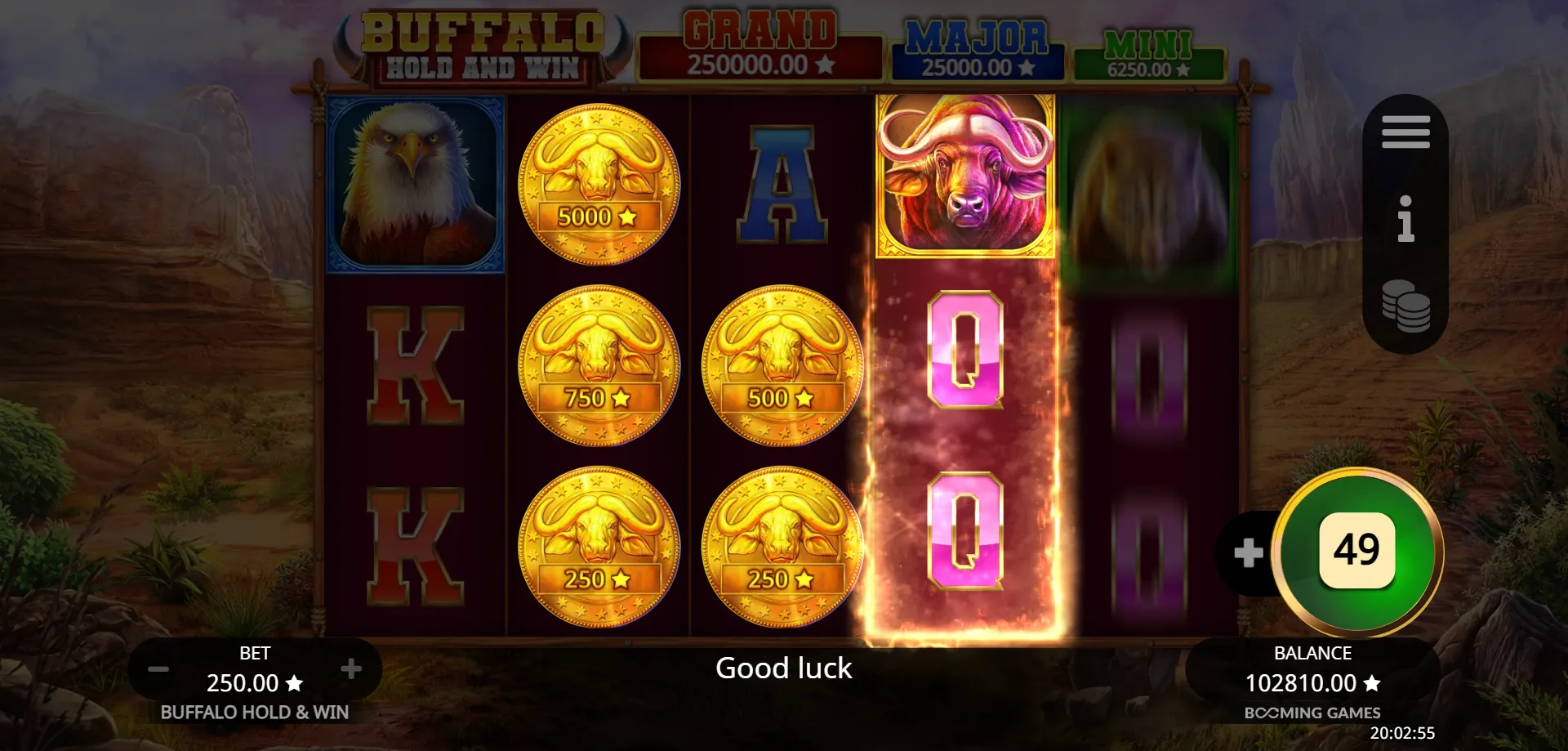 Gameplay for Buffalo Hold and Win Online Slot &mdash; Step by Step